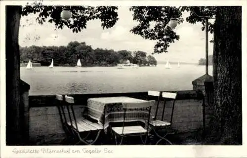 Ak Berlin Reinickendorf Tegel Saatwinkel, Gaststätte Blumeshof, Tegeler See, Segelboote