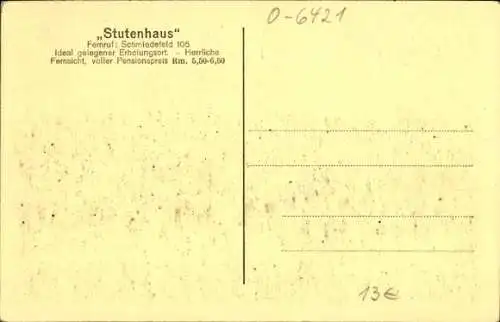 Ak Schleusingen in Thüringen, Stutenhaus am Adlersberg, Panorama, Wurzelberg, Frauenwald