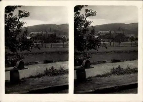 Stereo Foto Bad Neuenahr Ahrweiler in Rheinland Pfalz, Kloster Kalvarienberg