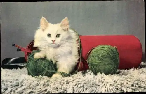 Ak Weiße Katze, Portrait, Wollknäuel, Teppich