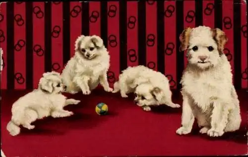Ak Vier kleine Hunde, Ball, Spiel