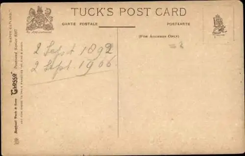 Ak Vier kleine Katzen am Baum, Ast