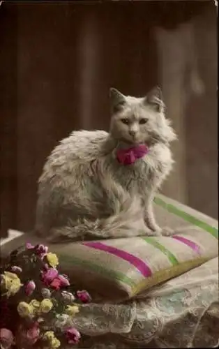 Ak Weiße Katze mit Schleife, Kissen, Blumen