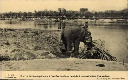 Ak Vietnam, Elefant trägt Bambus für Floßbau zum Ufer