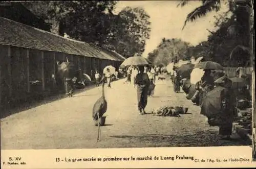 Ak Luan Prabang Laos, The Sacred Crane geht durch den Markt