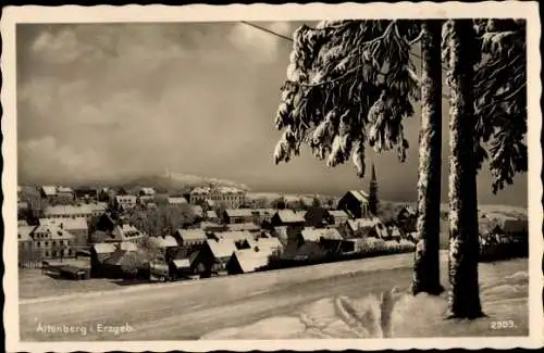 Ak Altenberg im Erzgebirge, Totalansicht, Winteransicht