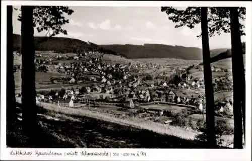 Ak Baiersbronn im Schwarzwald, Totalansicht