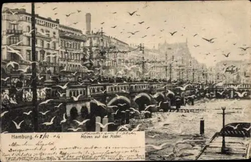 Ak Hamburg Mitte Altstadt, Möwen auf der Alster, Brücke