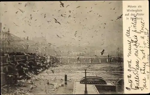 Ak Hamburg Mitte Altstadt, Möwen als Wintergäste auf der Alster, Brücke