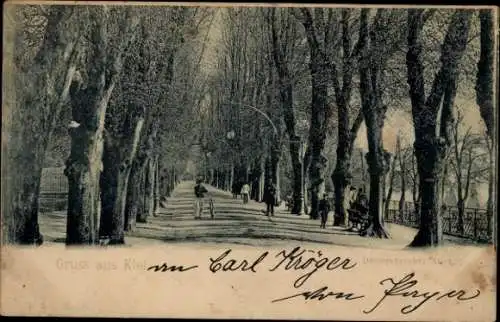Ak Düsternbrook Kiel, Düsternbrooker Allee