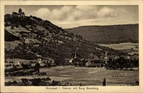 Ak Neustadt Breuberg im Odenwald, Burg Breuberg, Panorama