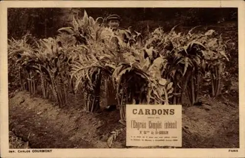 Ak Saint-Gobain Aisne, Cardons, Volldünger Intensit