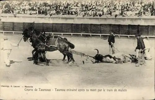 AK Course de Taureaux, Szene beim Stierkampf, Der getötete Stier wird aus der Arena geschleift