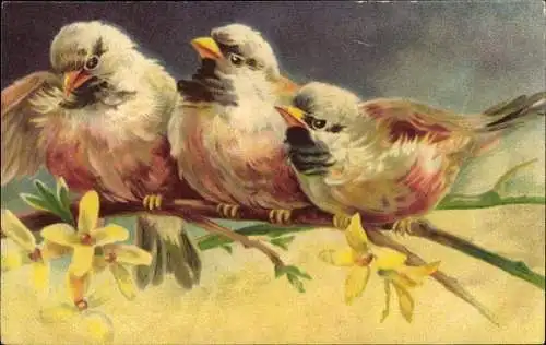 Künstler Ak Drei Vögel auf einem Zweig