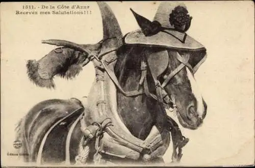 Ak Cote d'Azur, Pferd mit Hut