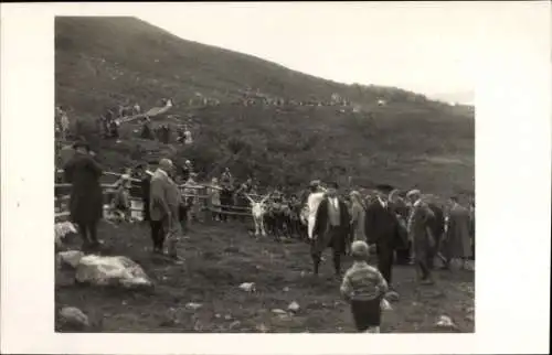 Foto Ak Tromsø Tromsö Norwegen, Rentiere und Lappenlagger