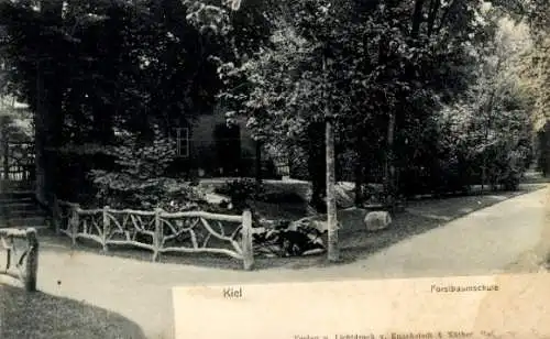 Ak Kiel, Forstbaumschule