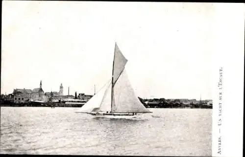Ak Antwerpen Antwerpen Flandern, eine Yacht auf der Schelde