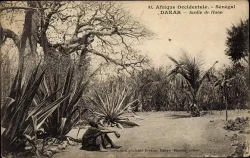 Ak Dakar Senegal, Jardin de Hann