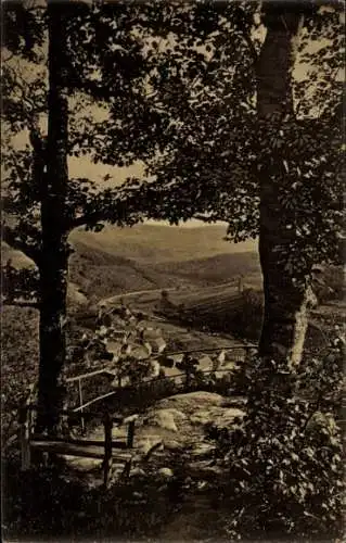 Ak Schönau Pfalz, Gesamtansicht