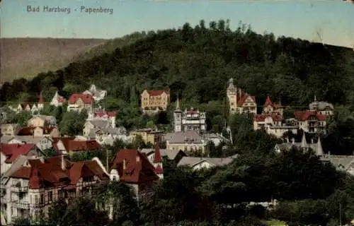 Ak Bad Harzburg am Harz, Papenberg