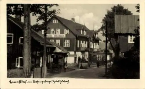 Ak Harrachov Harrachsdorf Riesengebirge Region Reichenberg, Hotel Erlebach