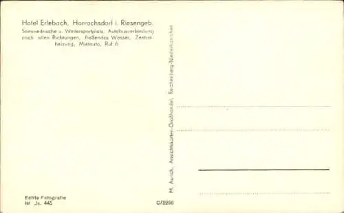Ak Harrachov Harrachsdorf Riesengebirge Region Reichenberg, Hotel Erlebach