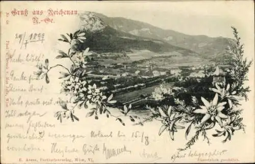 Ak Reichenau an der Rax in Niederösterreich, Ortschaft mit Landschaftsblick, Edelweiß
