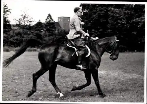 Foto Reiter auf einem Pferd