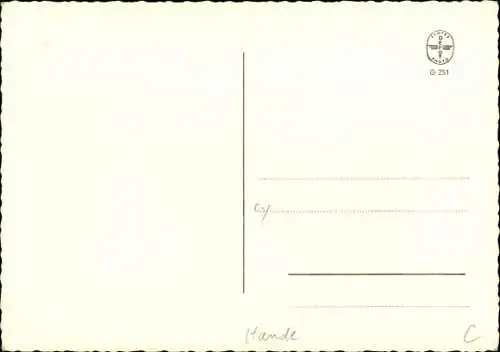 Foto Ak Drei weiße Hundewelpen