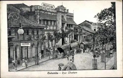 Ak Colombo Ceylon Sri Lanka, Chatam Straße, Tricofilina