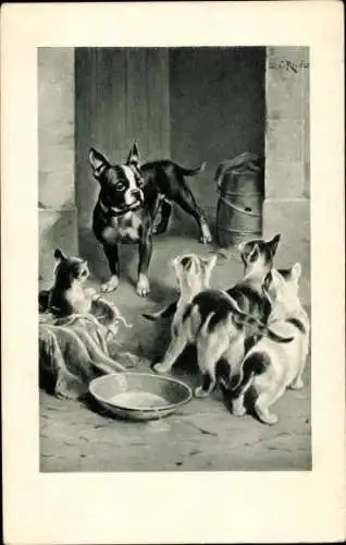 Künstler Ak Katzen und ein Hund, Schüssel mit Milch