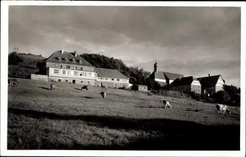 Ak Klosterkreuzberg Bischofsheim an der Rhön, Kloster Kreuzberg, Berghotel Braun, Kühe