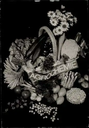 Ak Agrochemie, Düngemittel, Pflanzenschutzmittel, Erntekorb, Gemüse