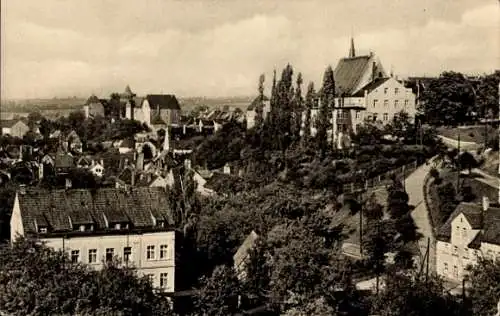 Ak Leisnig in Sachsen, Totalansicht