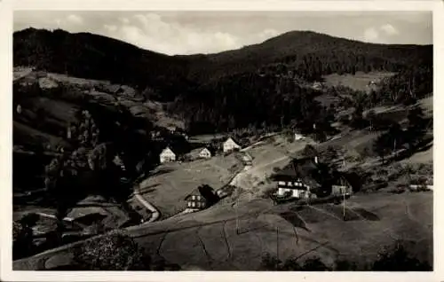 Ak Bad Rippoldsau Schapbach im Schwarzwald, Holzwald