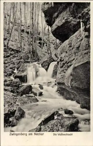 Ak Zwingenberg am Neckar Baden, Wolfsschlucht, Wasserfall