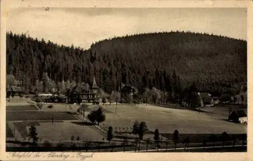 Ak Rehefeld Zaunhaus Altenberg im Erzgebirge, Ortspartie