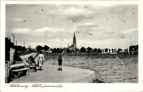 Ak Schleswig an der Schlei, Schleipromenade, Kirche, Möwen