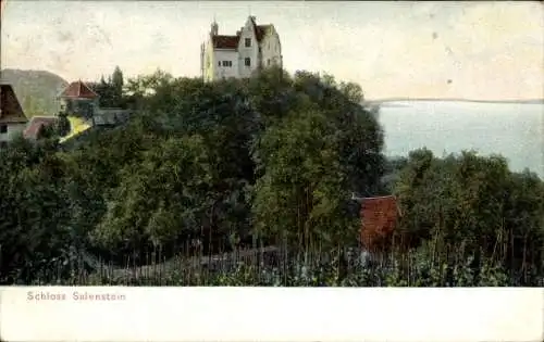 Ak Salenstein Kanton Thurgau, Schloss