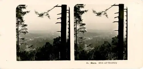 Stereo Foto Ilsenburg im Harz, Panorama