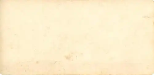 Stereo Foto Ilsenburg im Harz, Panorama