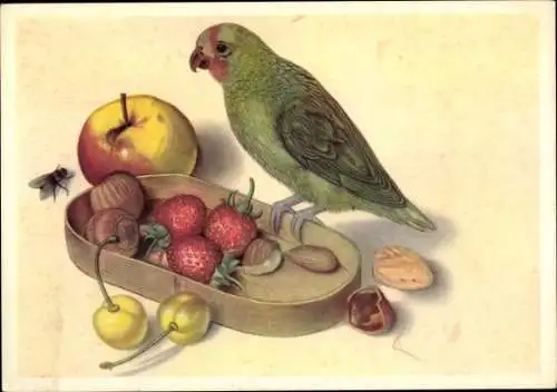 Künstler Ak Rosenköpfchen an einer Obstschale, Fliege