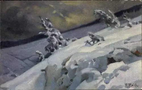 Künstler Ak Reiss, Fritz, Winter im Schwarzwald