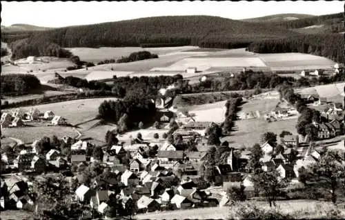 Ak Usseln Willingen im Upland Waldeck, Gesamtansicht