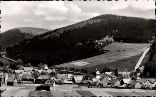 Ak Rattlar Willingen Waldeck, Blick zum Ort, Felder, Wälder