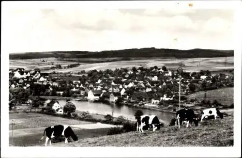 Ak Guxhagen in Hessen, Panorama, Kühe