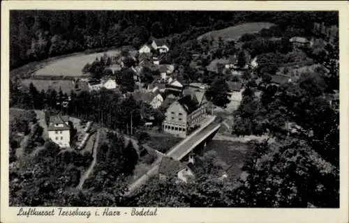 Ak Treseburg Thale im Harz, Gesamtansicht