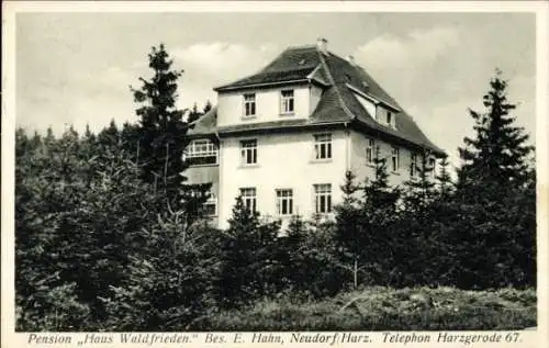 Ak Neudorf Harzgerode am Harz, Pension Haus Waldfrieden