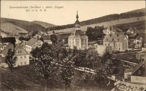 Ak Carlsfeld Eibenstock im Erzgebirge, Teilansicht